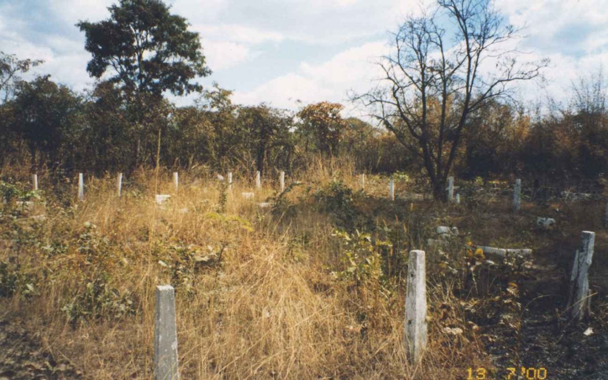 2. Overview