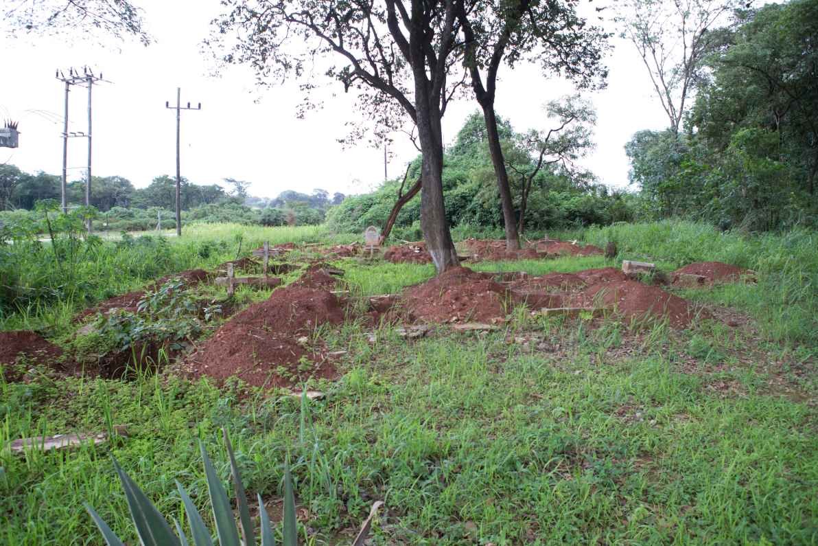 8. Overview