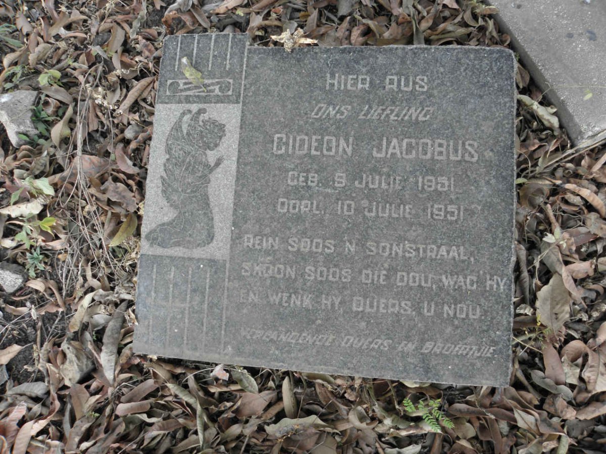 FAULCONER Gideon Jacobus 1951-1951 _1