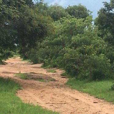 3. Road to cemetery