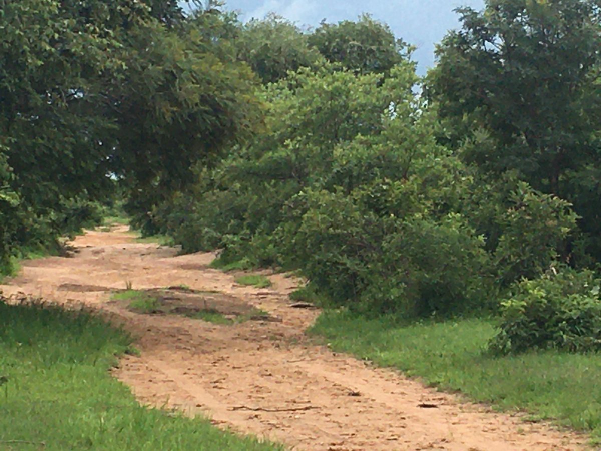 3. Road to cemetery