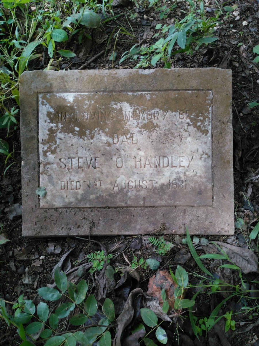 O'HANDLEY Steve -1931