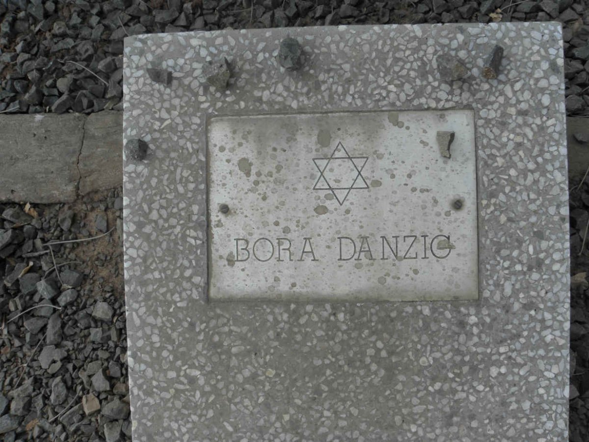 DANZIG Bora