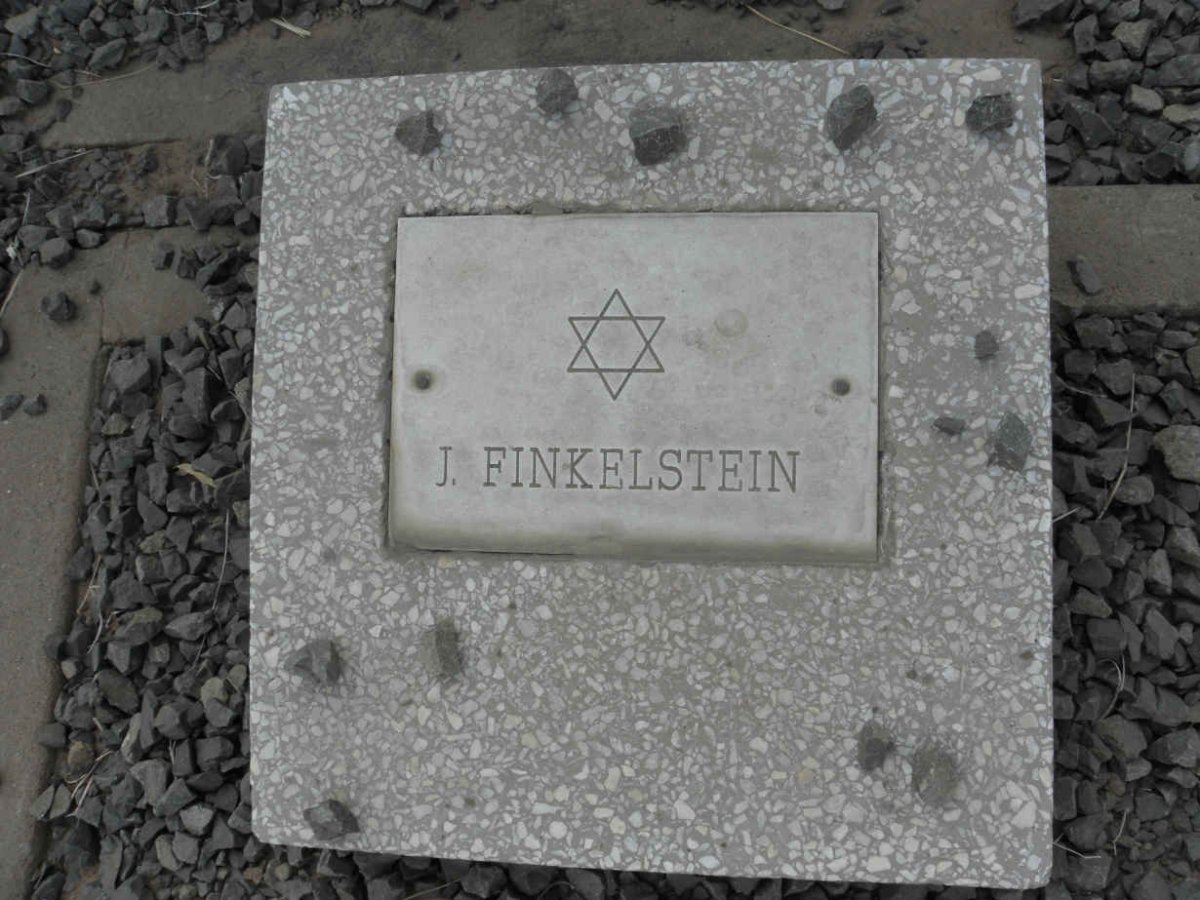 FINKELSTEIN J.