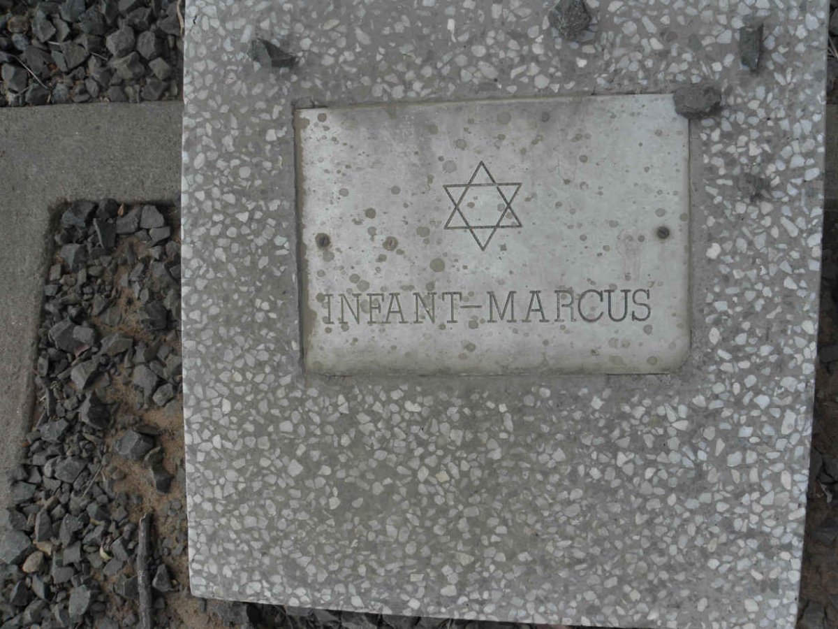 MARCUS Infant