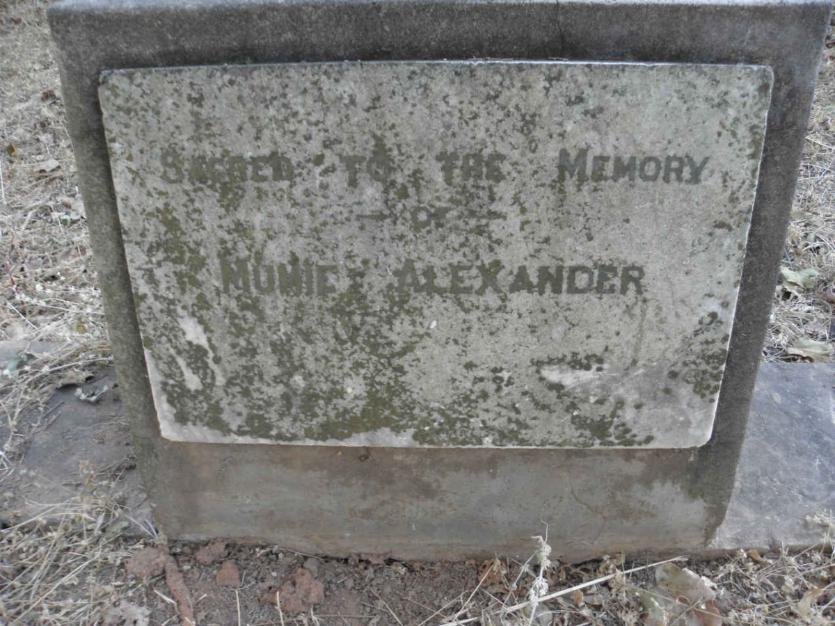 ALEXANDER Mumie