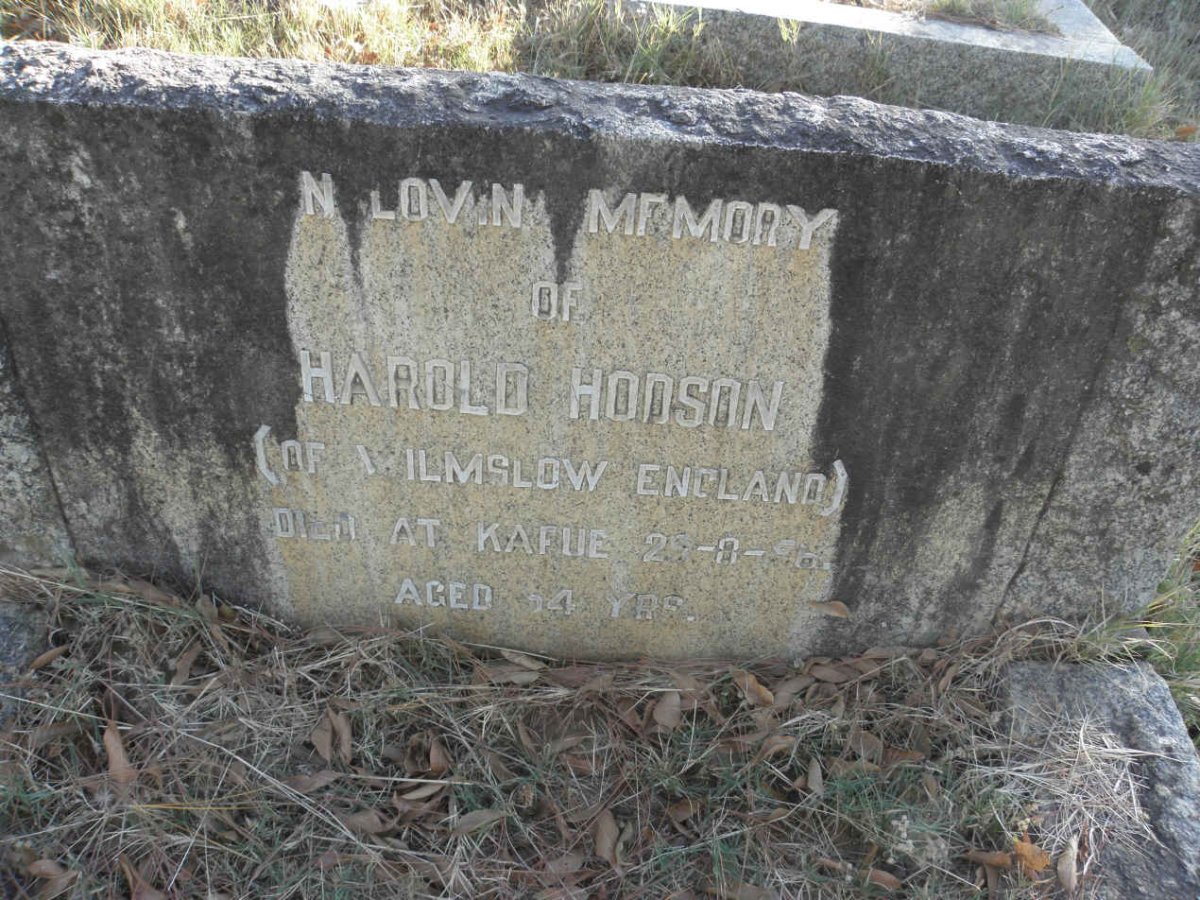 HODSON Harold -1956