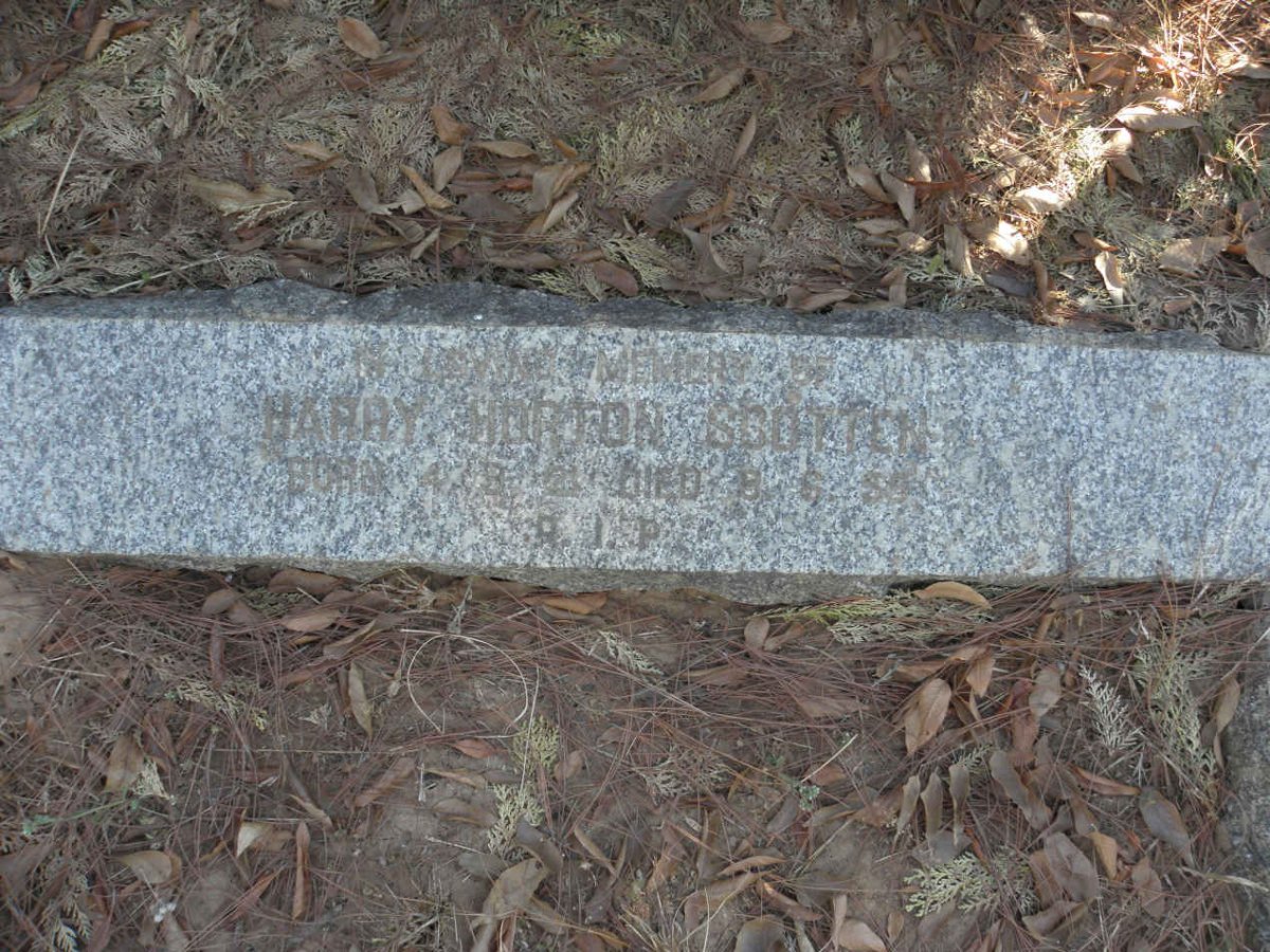 SCOTTER Harry Horton 1955-1955