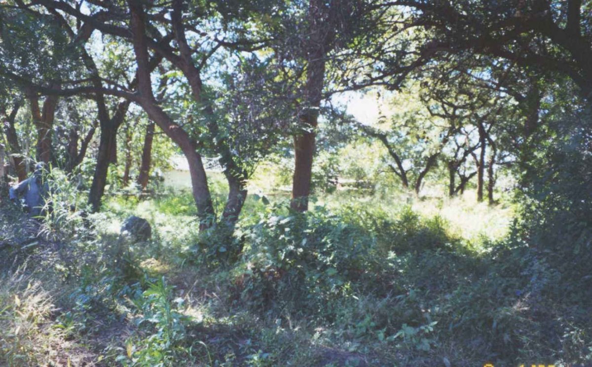 3. Overview / Oorsig