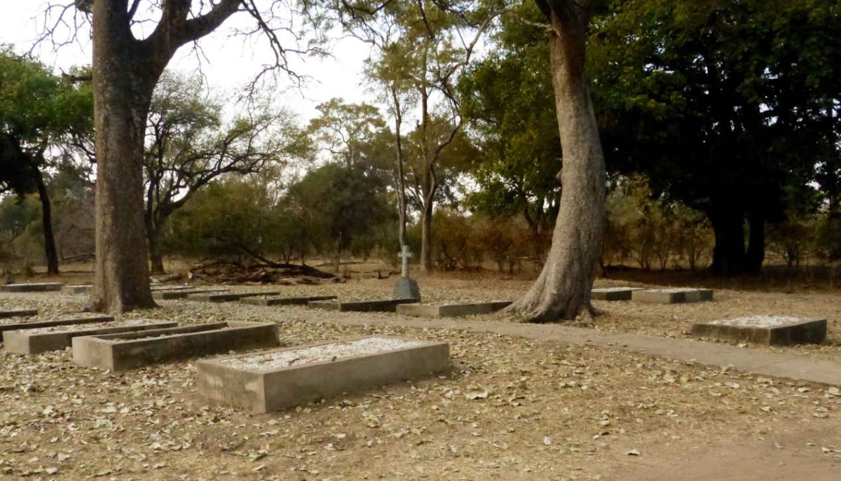 5. Overview