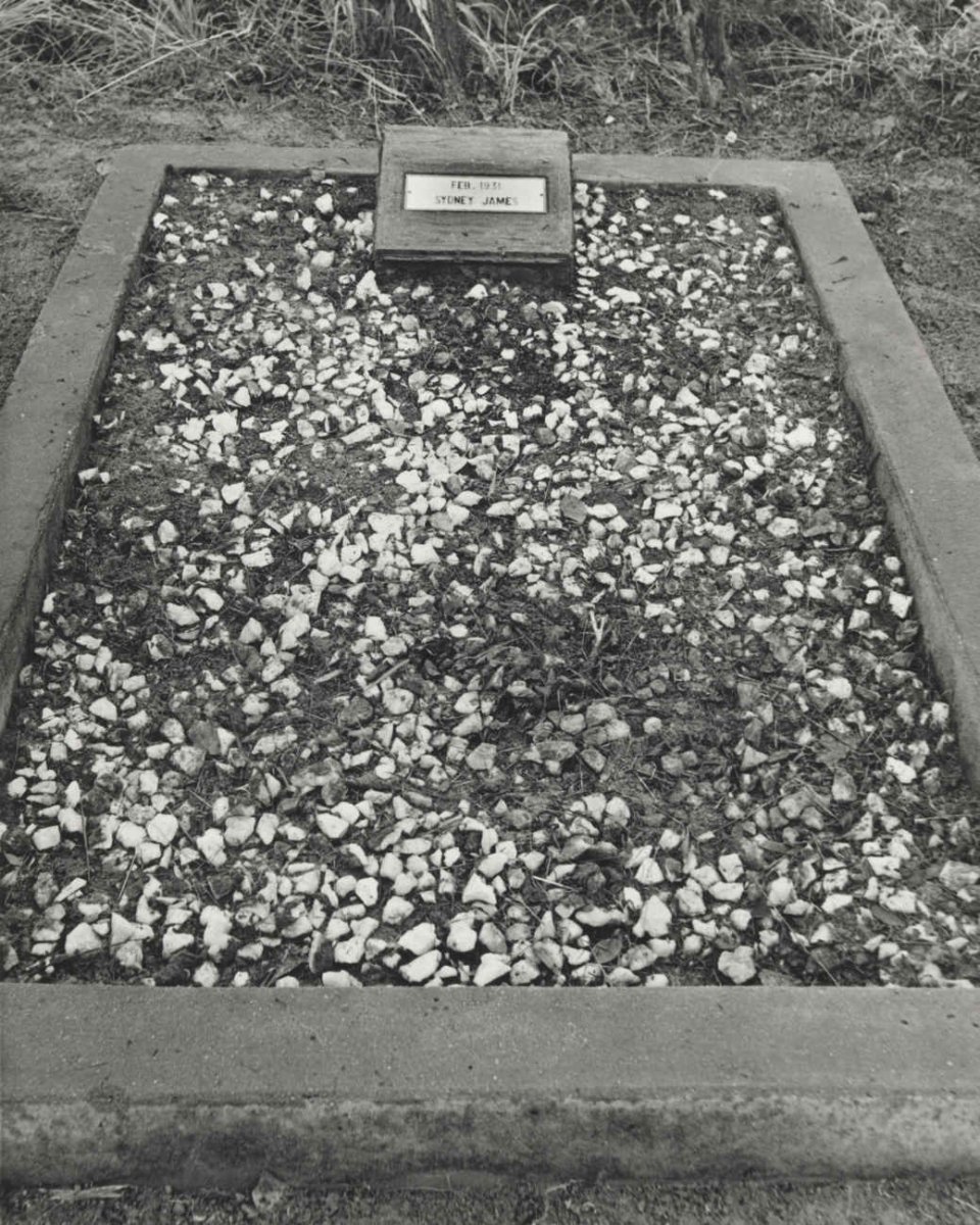 JAMES Sydney -1931