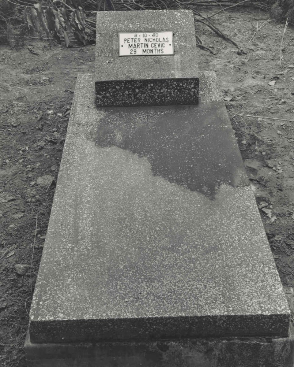 CEVIC Peter Nicholas -1940