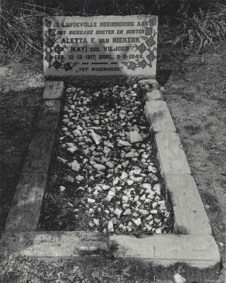 SCHALKWYK Aletta F. nee VILJOEN  1917-1946