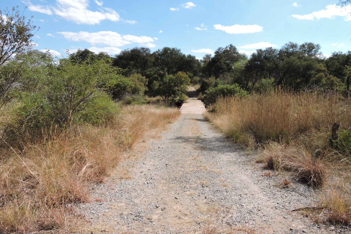 1. Road leading to Shangani River bridge