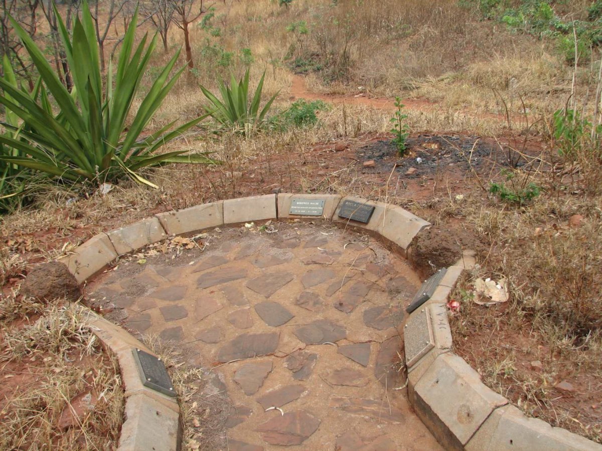 1. Overview