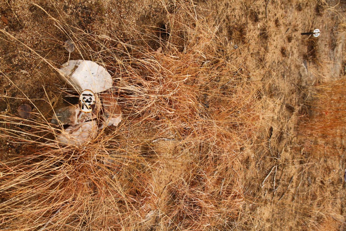 ?