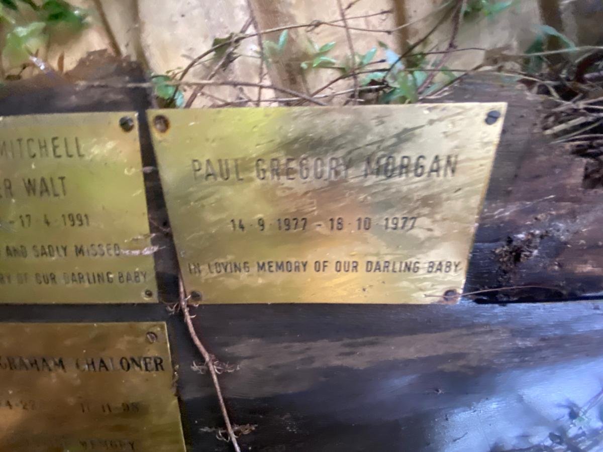 MORGAN Paul Gregory 1977-1977