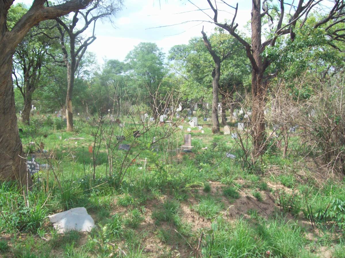 2. Overview
