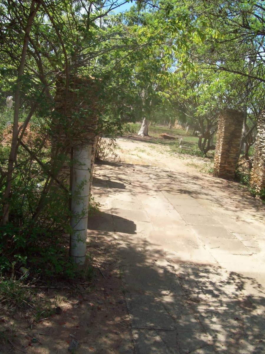1. Overview