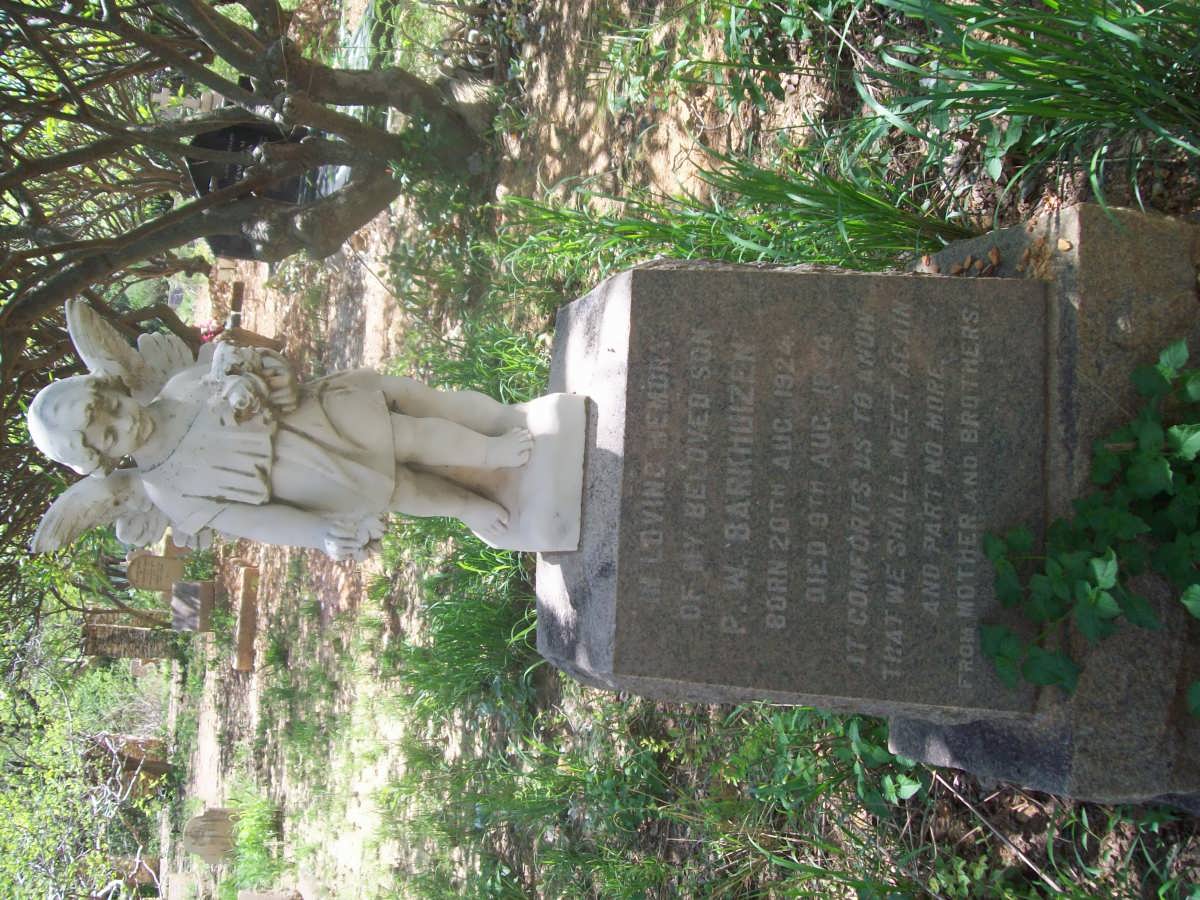 BARKHUIZEN P.W. 1924-1934