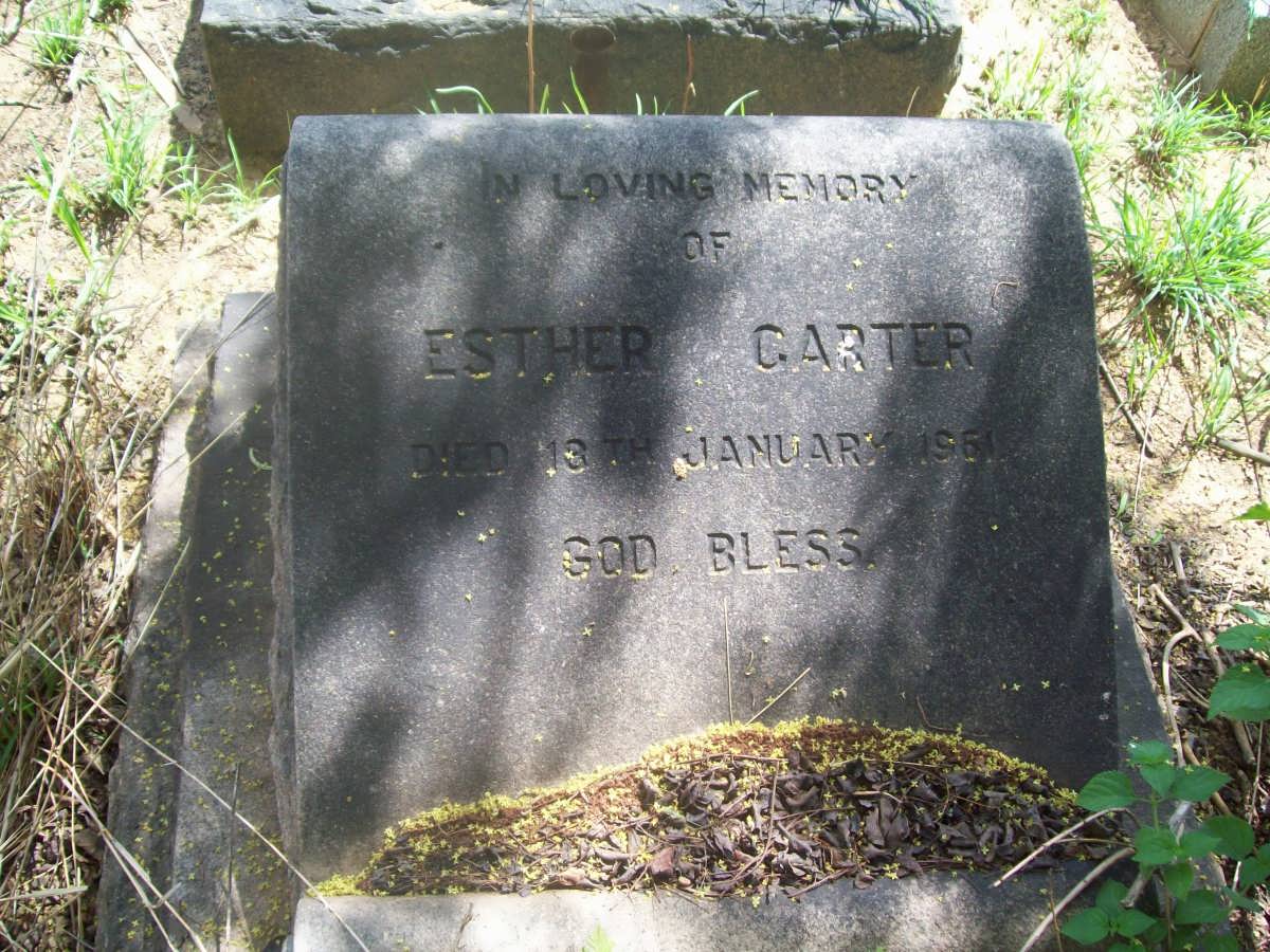 CARTER Esther 19?1