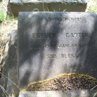 CARTER Esther 19?1