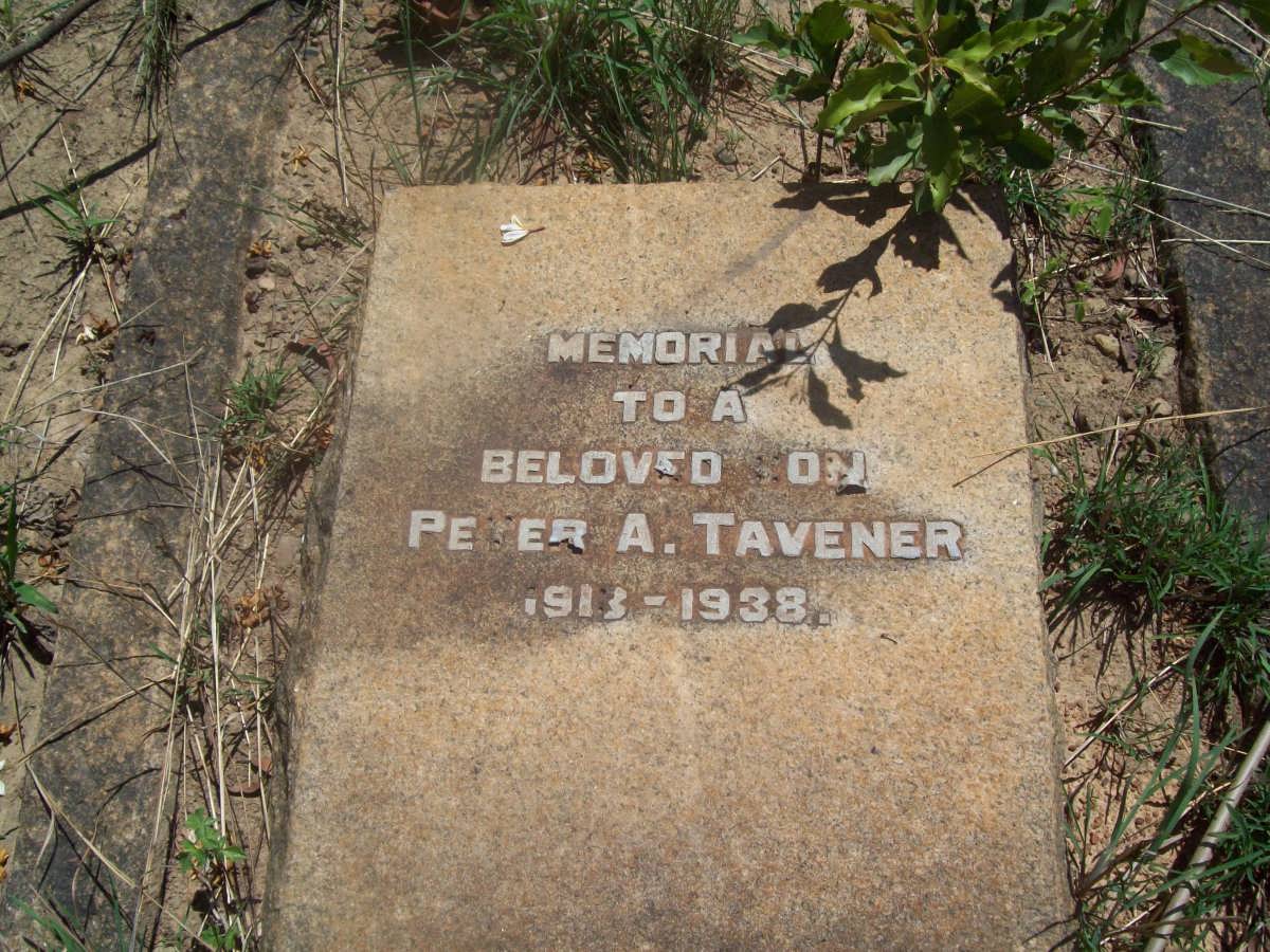 TAVENER Peter A. 1913-1939