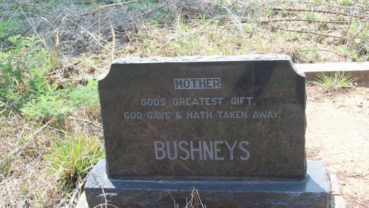 BUSHNEYS ?