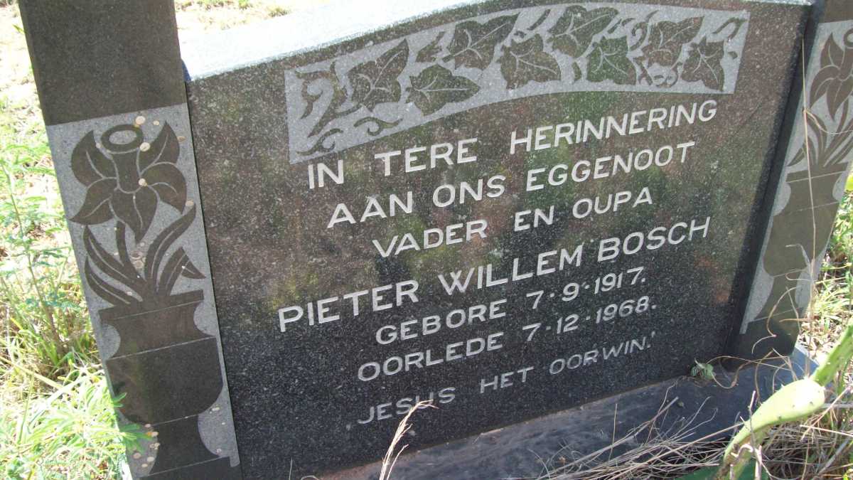 BOSCH Pieter Willem 1917-1968