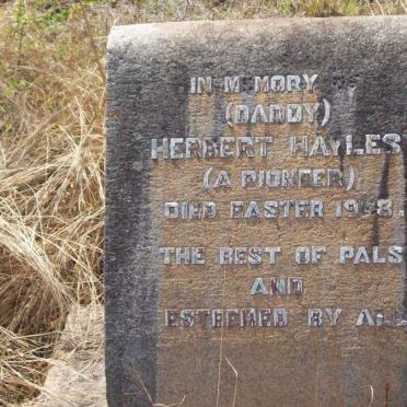 HAYLES Herbert 19?8