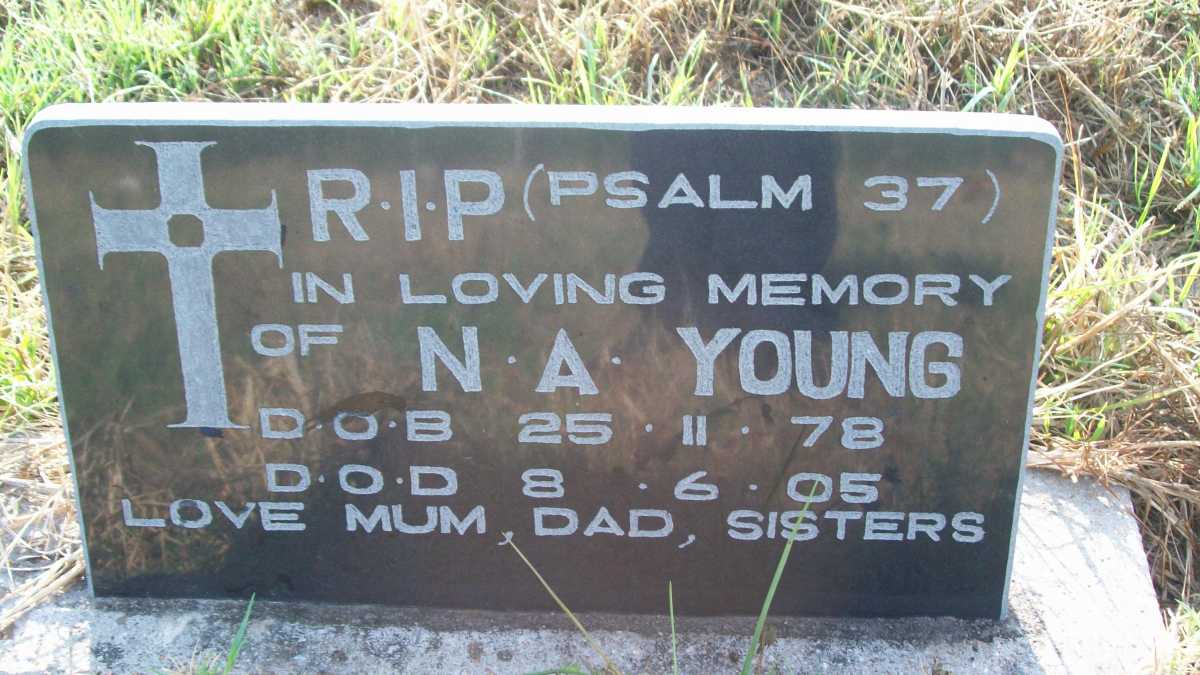 YOUNG N.A. 1978-2005