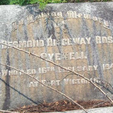 PYEWELL Desmond Ridgeway Rose -1948