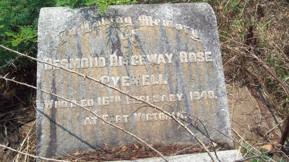PYEWELL Desmond Ridgeway Rose -1948