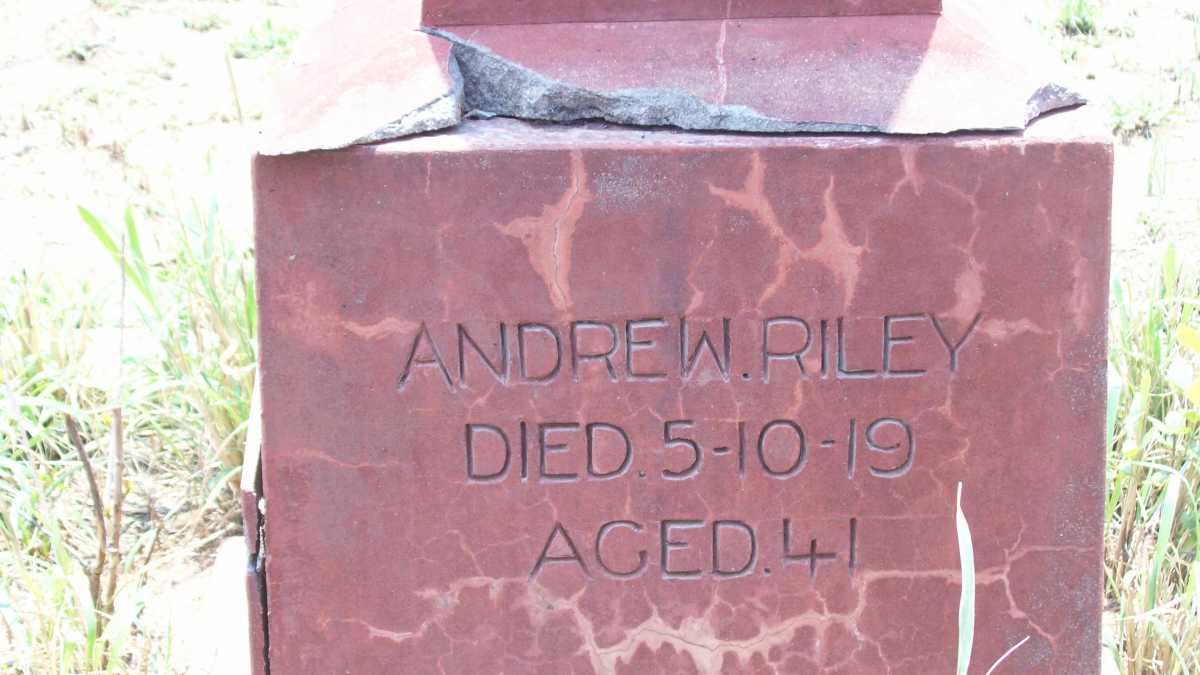 RILEY Andrew -1919
