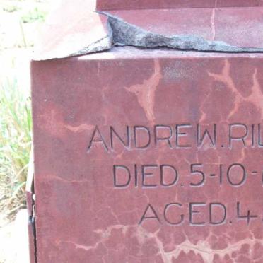 RILEY Andrew -1919