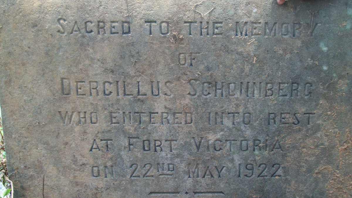 SCHONNBERG Dercillus -1922