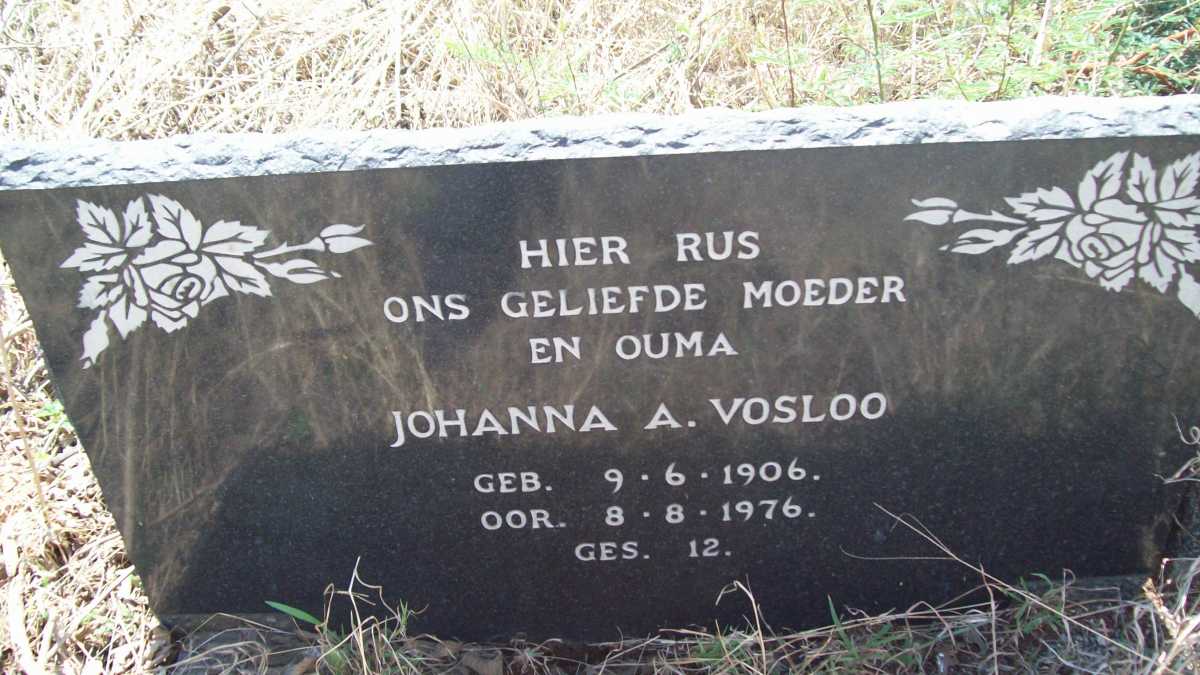 VOSLOO Johanna A. 1906-1976
