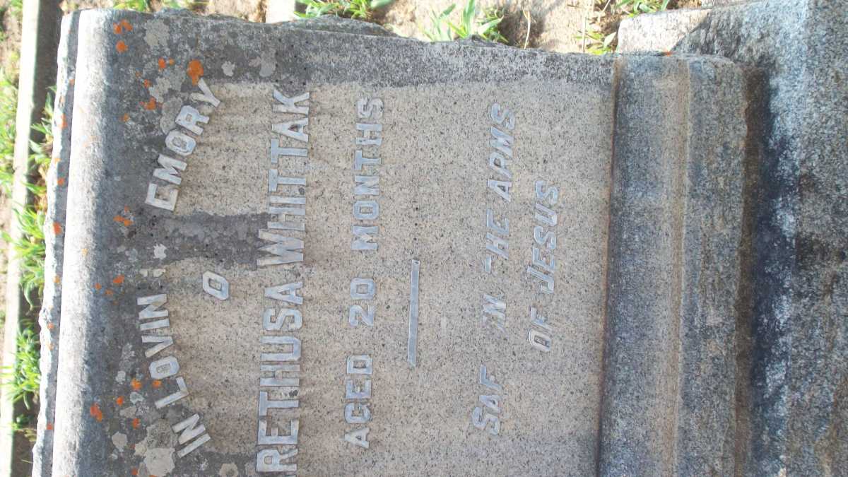 WHITTAKER  Arethusa