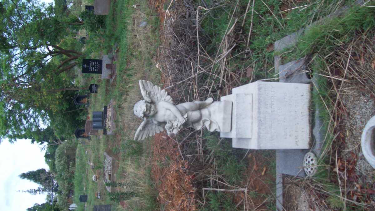 HEYES Annette Beverley 1965-1966