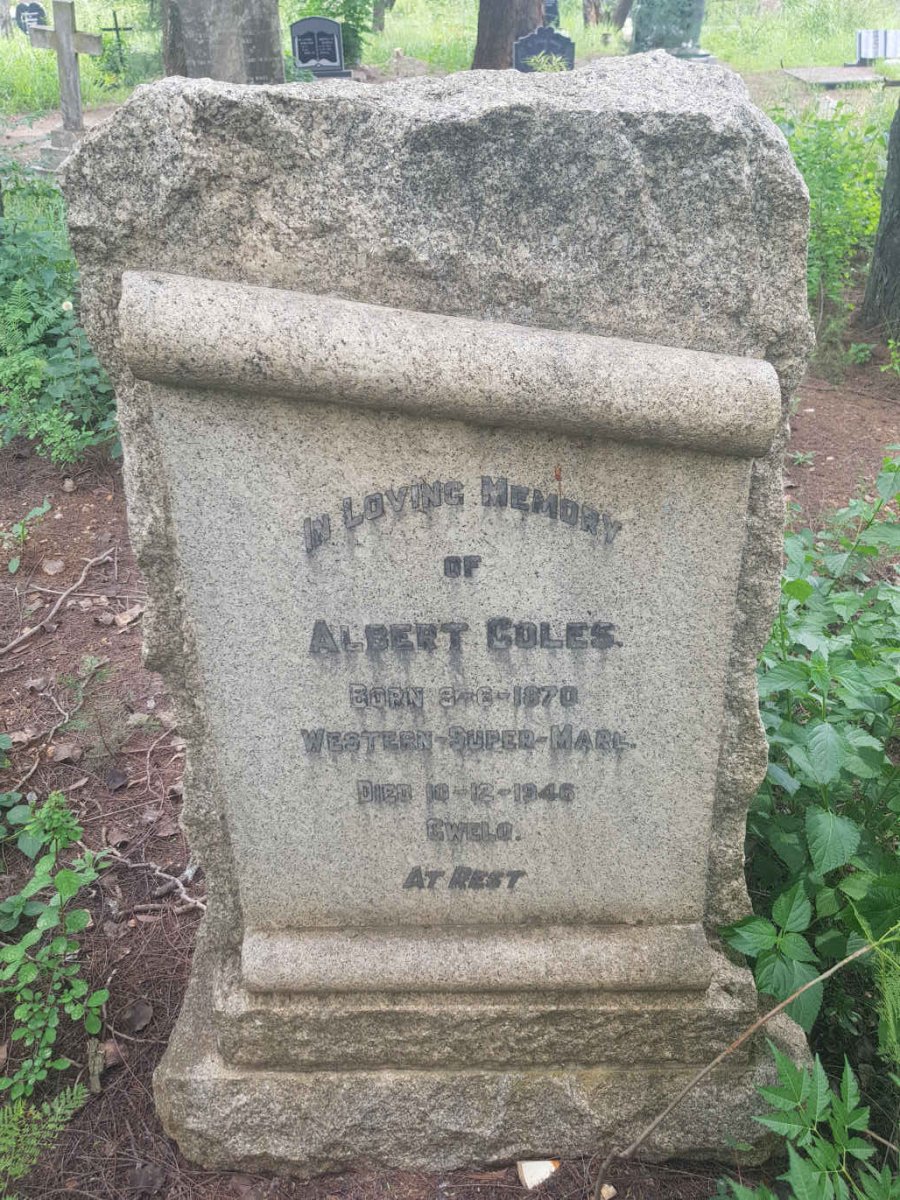 COLES Albert 1870-1946
