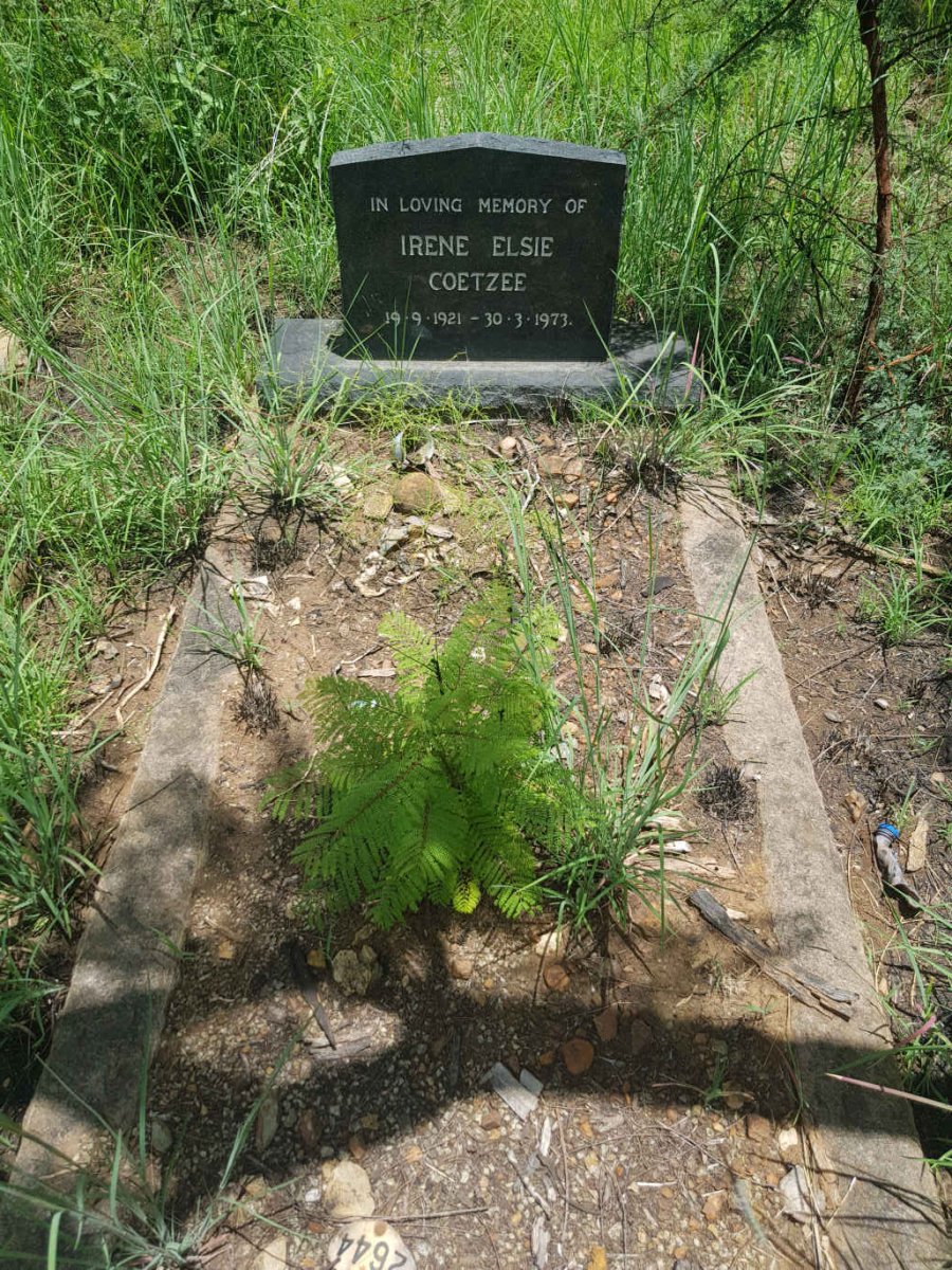 COETZEE Irene Elsie 1921-1973