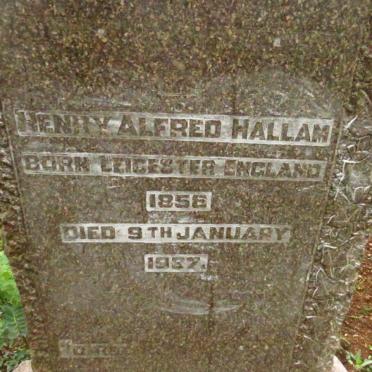 HALLAM Henry Alfred 1856-1937