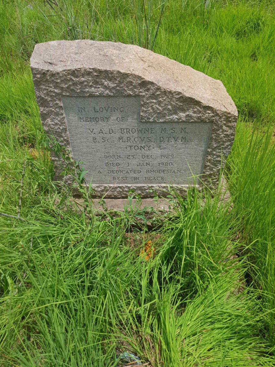 BROWNE V.A.D. 1929-1980