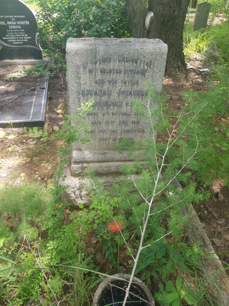 MOMMSEN Abraham Johannes -1951