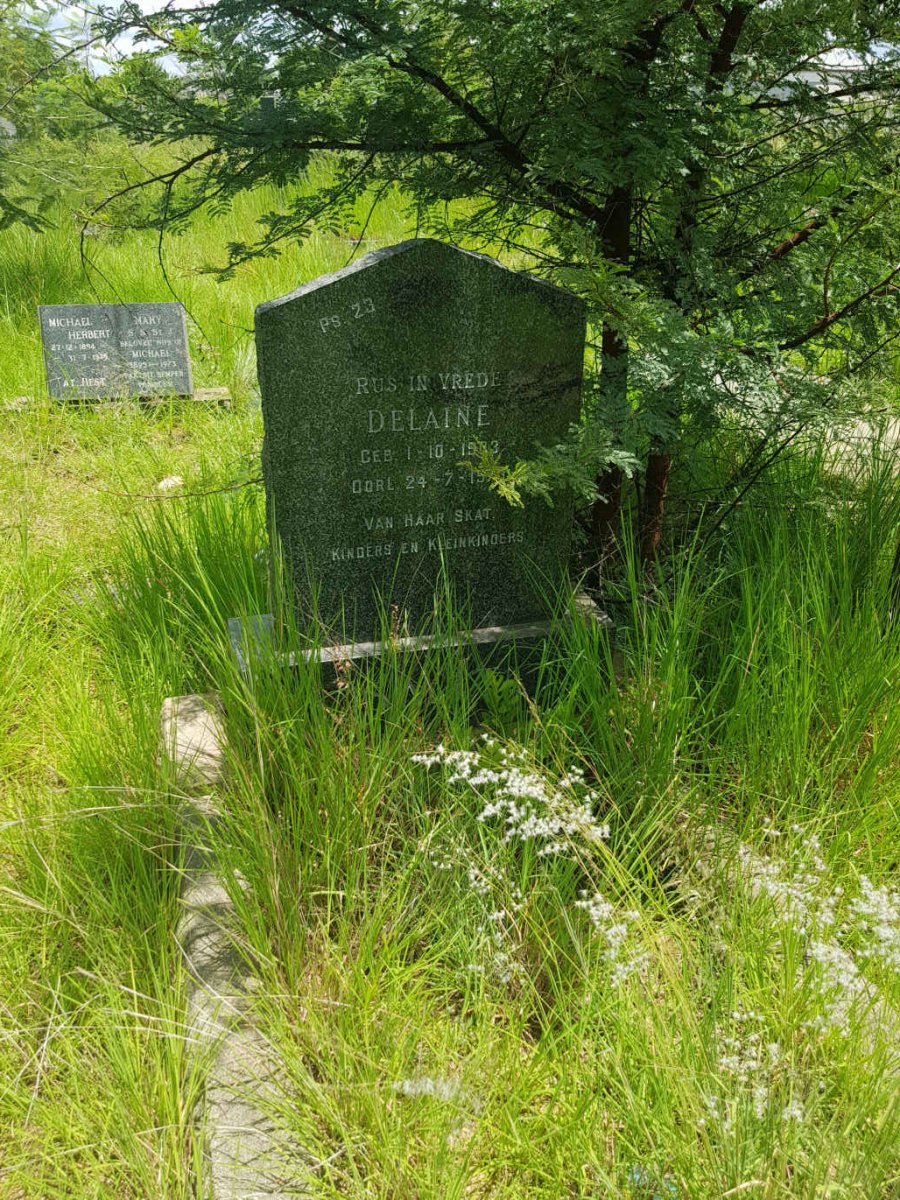 SMIT Delaine 1903-197?