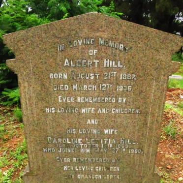 HILL Albert 1867-1936 & Caroline Letitia 1869-1950