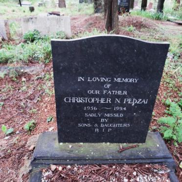PEDZAI Christopher N. 1956-1994