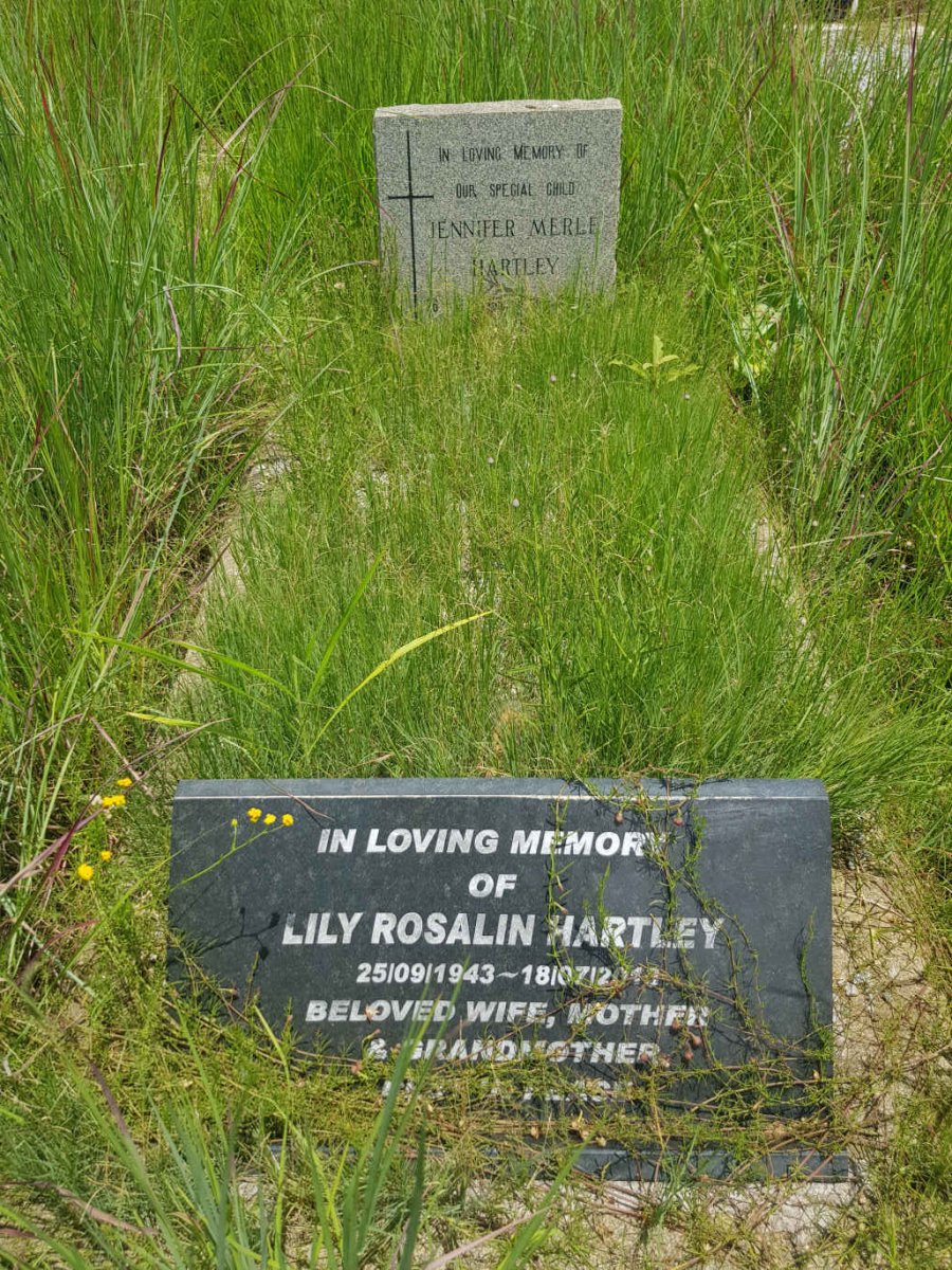 HARTLEY Lily Rosalin 1943-201? :: HARTLEY Jennifer Merle
