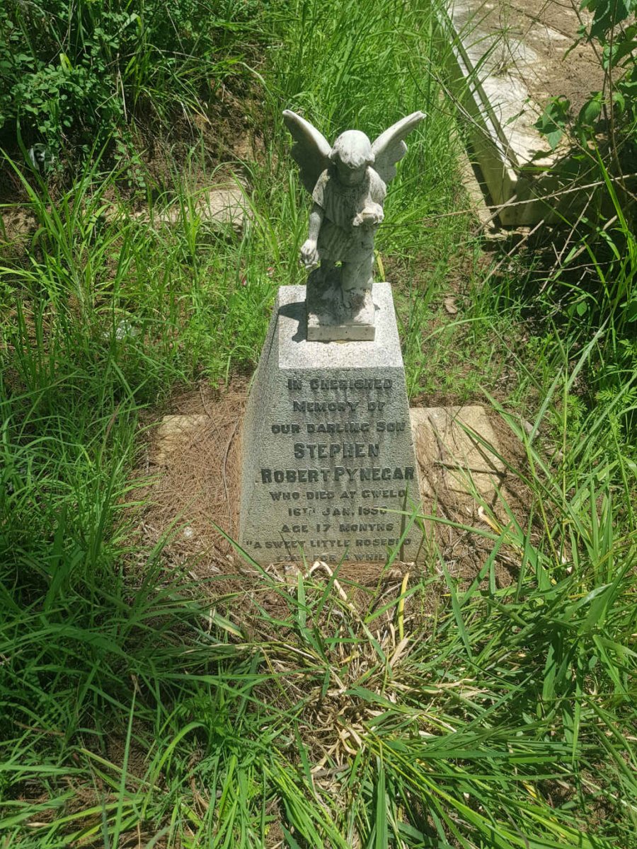 PYNEGAR Stephen Robert -195?