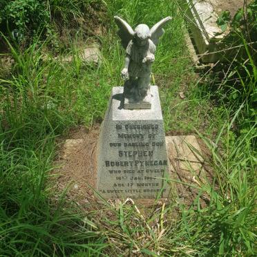 PYNEGAR Stephen Robert -195?